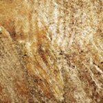 Metallic Copper - Image 3