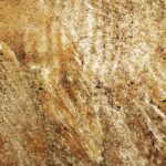 Metallic Copper - Image 2