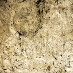 Silver Spark - Image 4