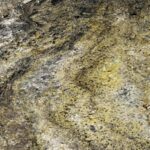 Burning Forest - Image 2