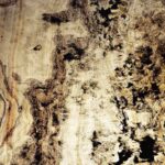 Tribal Pink - Image 2