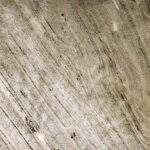 Cosmic Black - Image 2