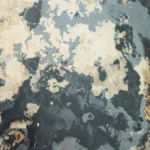 Rustic Autumn - Image 2